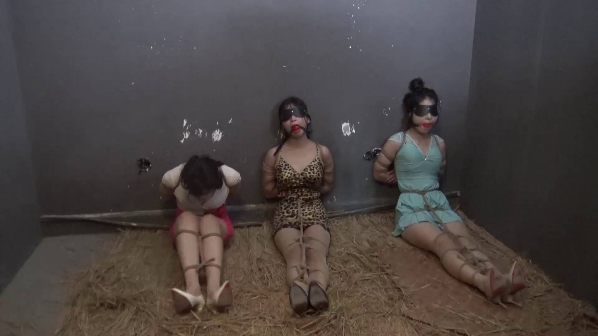 营救失败风波（第二集）