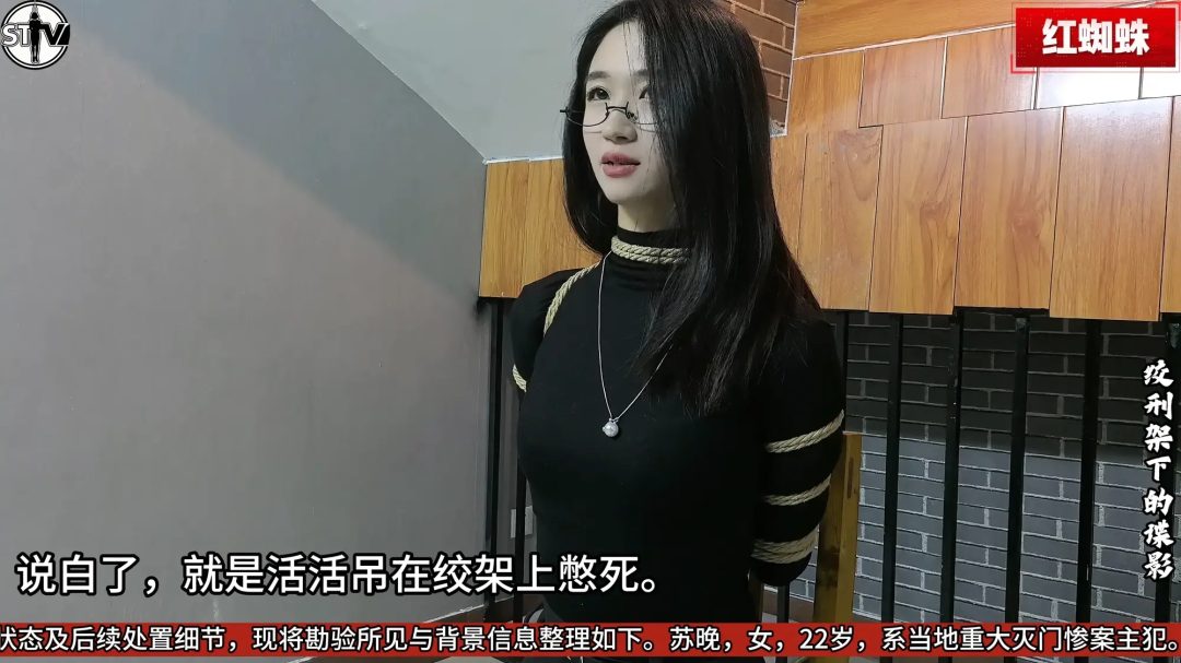 【玄武orz 】【2026开年剧情大作】斯特兰奇法制电视台《红蜘蛛》第一集——绞刑架下的谍影-9