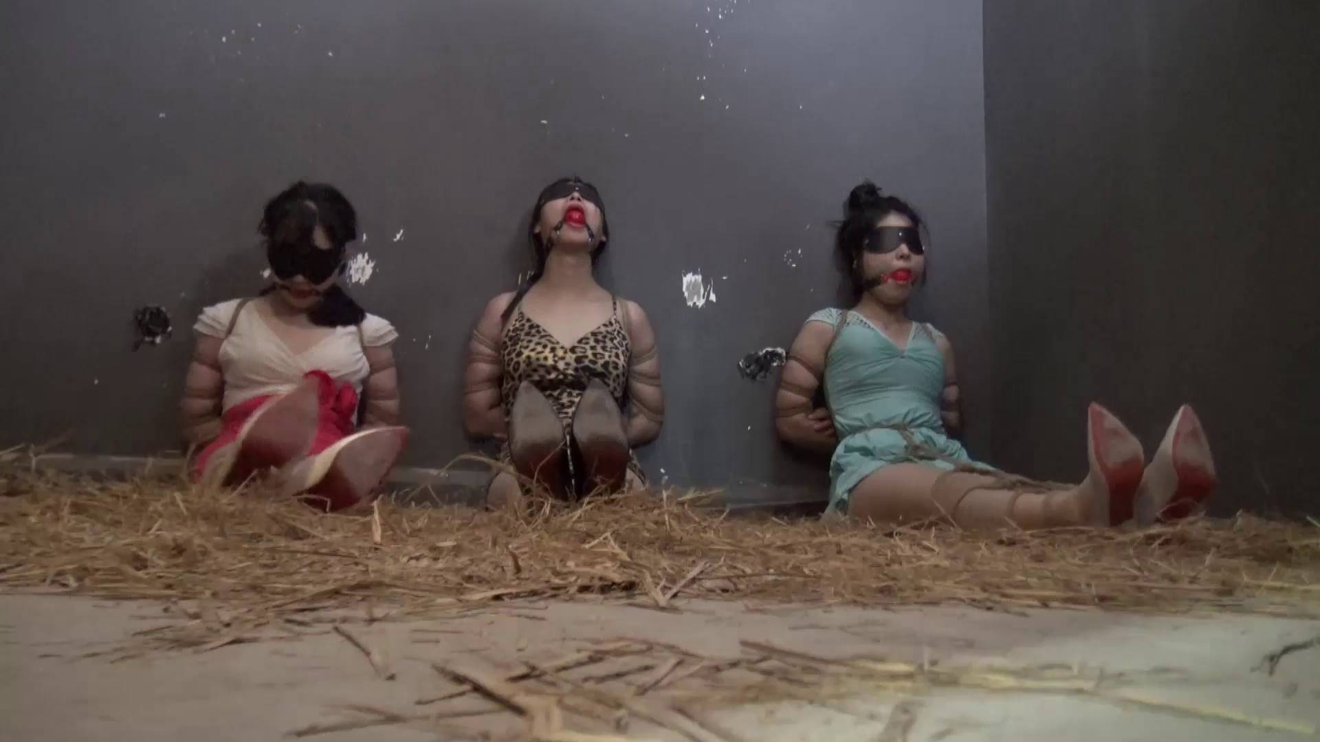 384785e617d164ae81ec27ac00db930e