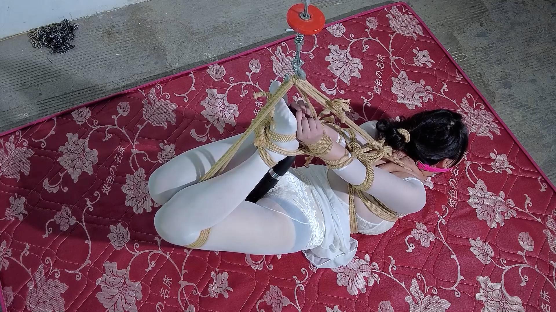 3d72e2d5e8ffba01a5e6e00ed7f95ea0