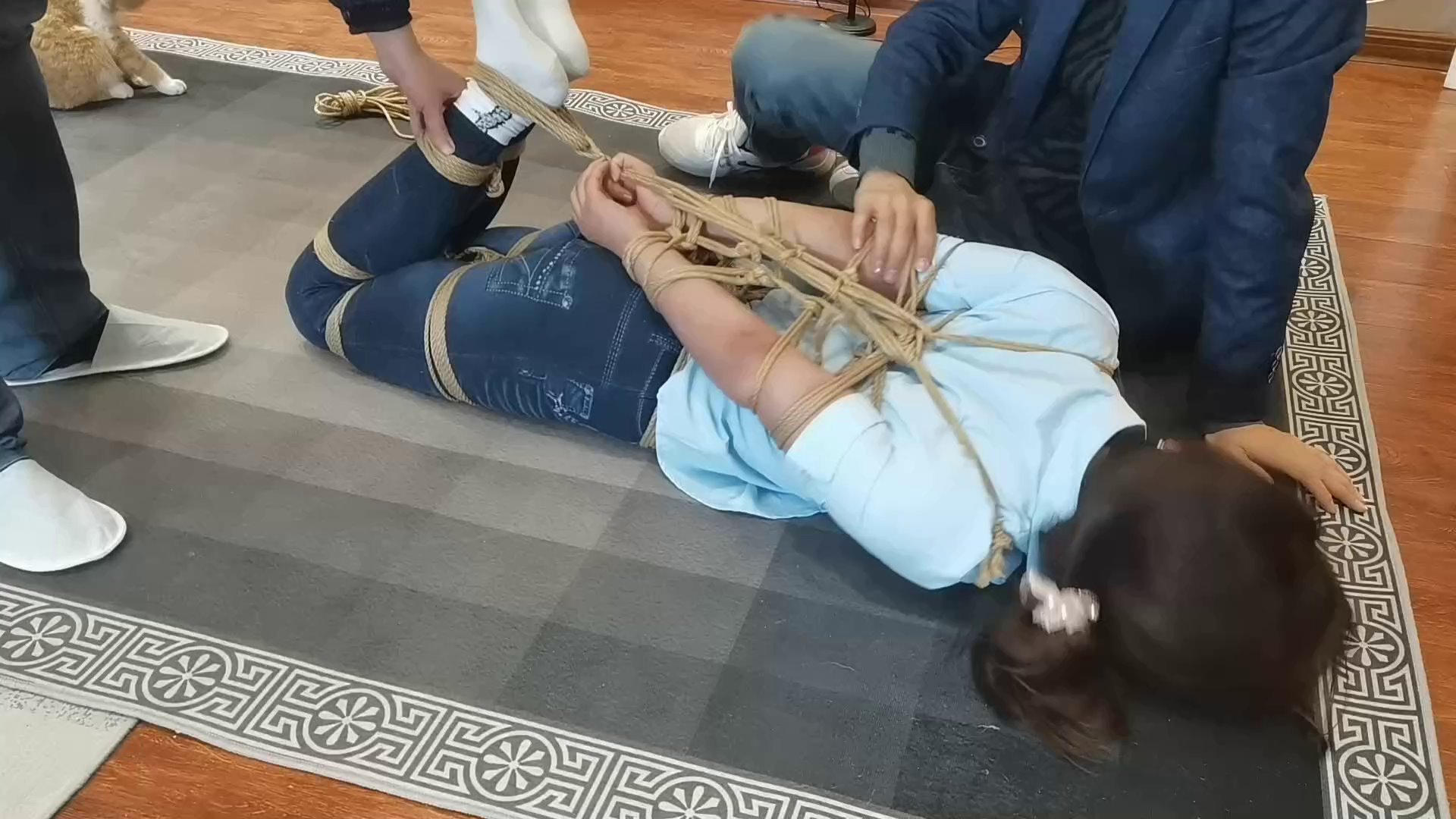 3e6b3bbf1345064867d091ae1badcb68