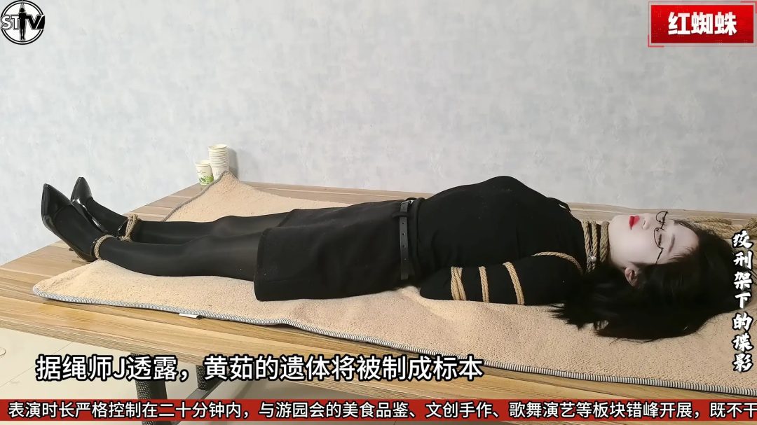 【玄武orz 】【2026开年剧情大作】斯特兰奇法制电视台《红蜘蛛》第一集——绞刑架下的谍影-13