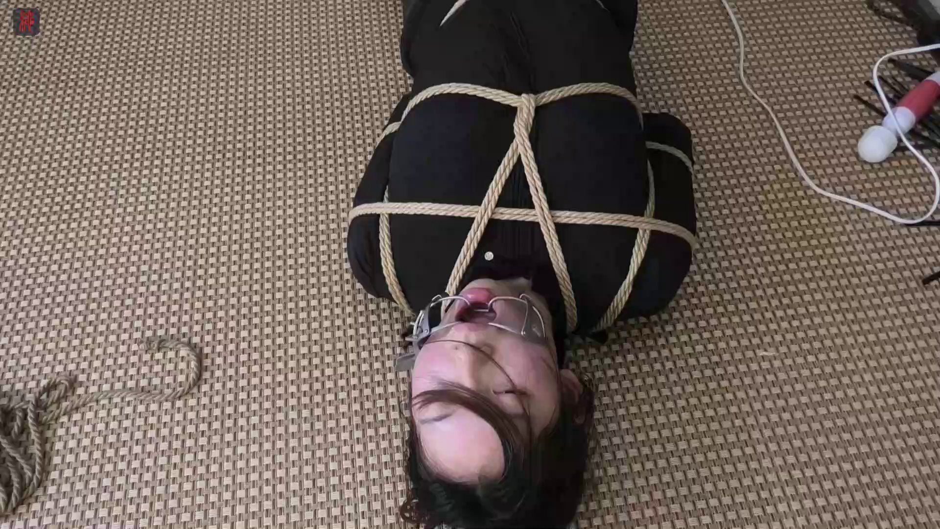 4082fea463770ed8974e22151346bd9a