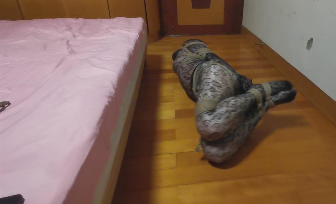 一只紧缚的大蛇精被驷马放置、无休止的挣扎、最后被折磨的精疲力尽-6