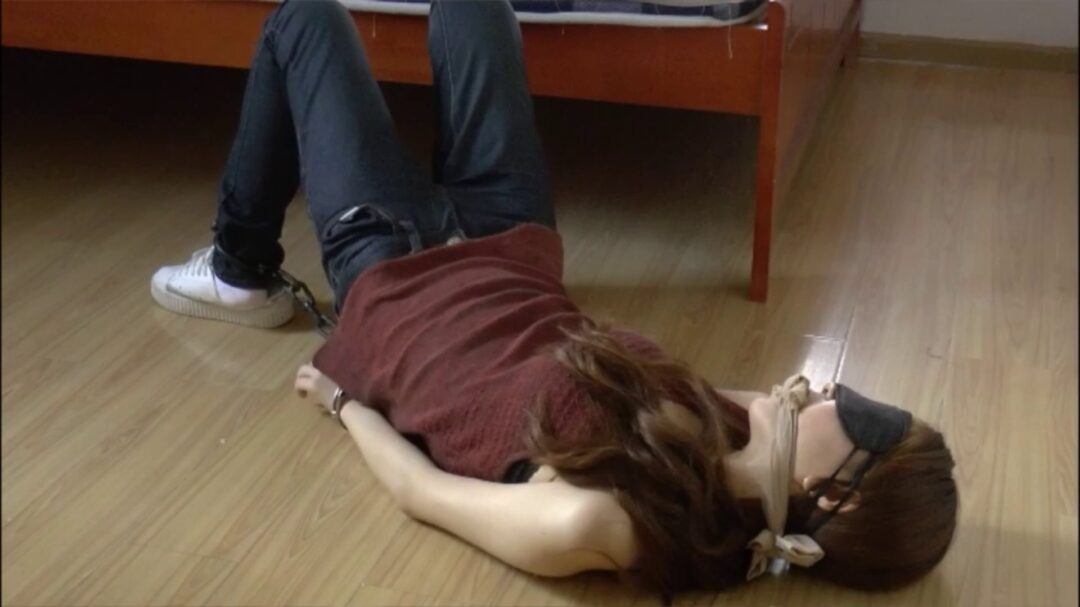 传销日记（完整版）-2