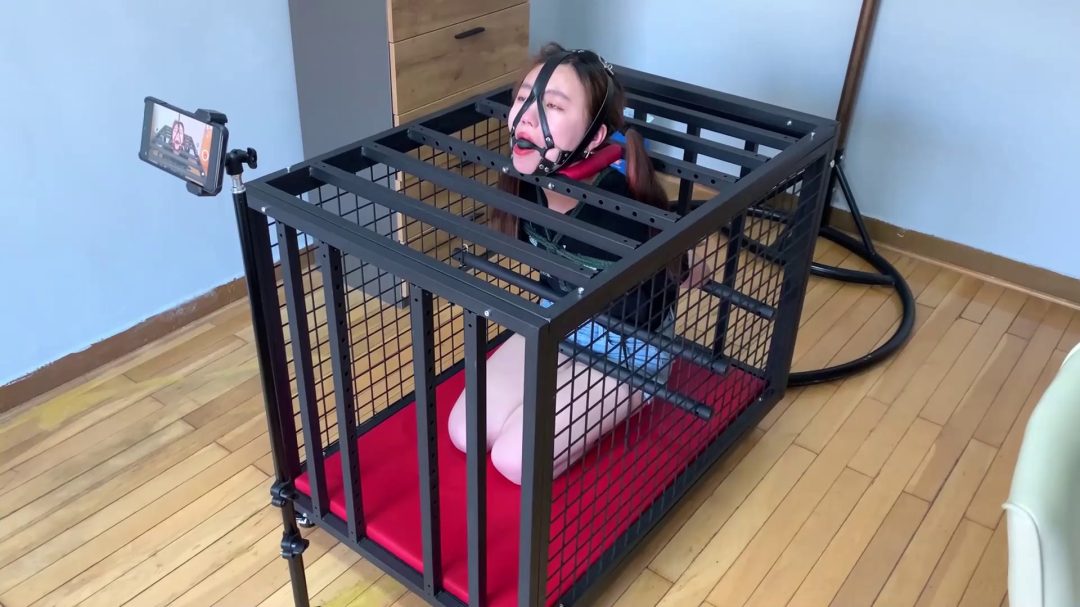 瑶瑶 铁笼强制跪缚 颈部身体金属固定放置-8