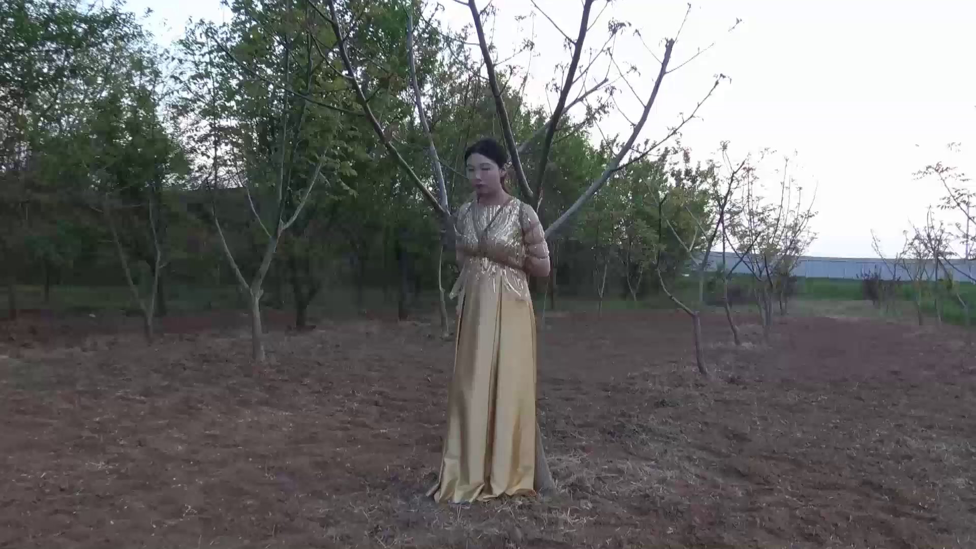 4c19156cbf6dea7acbe5a2859b375442