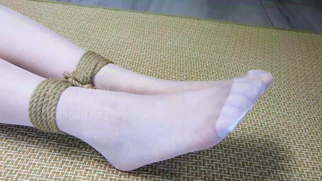 新模小鱼 日式 驷马-5