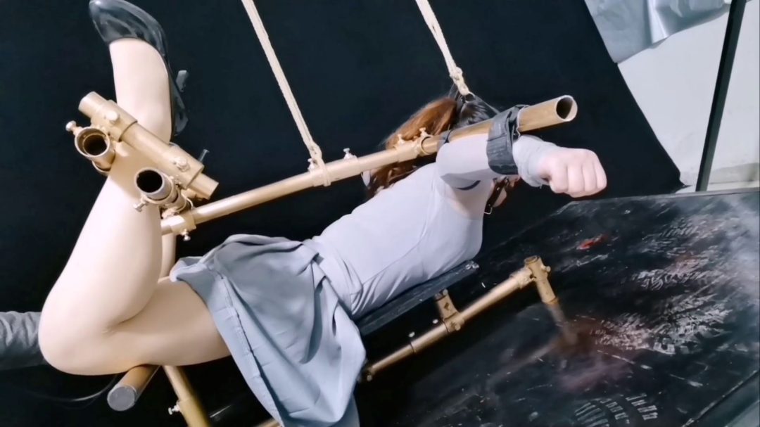 为梦涵精心设计一款多功能K9架-7