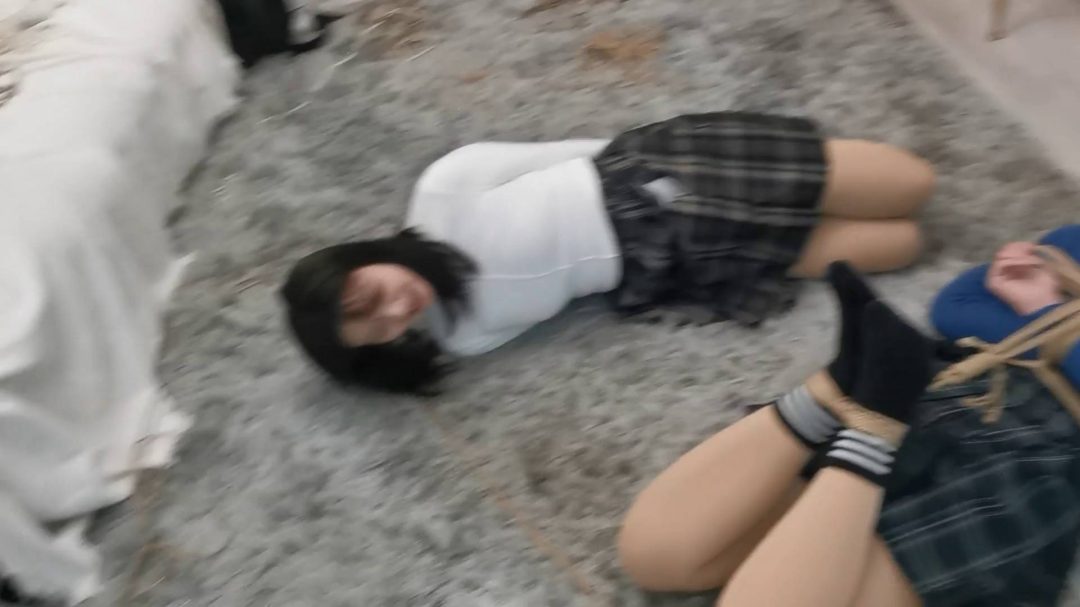 双人紧缚实验婉婉和小叶-5