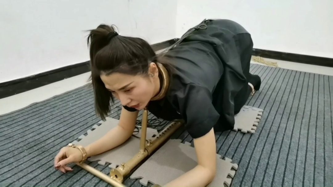 雅思 强行禁锢在k9架跪爬器上 电击-5