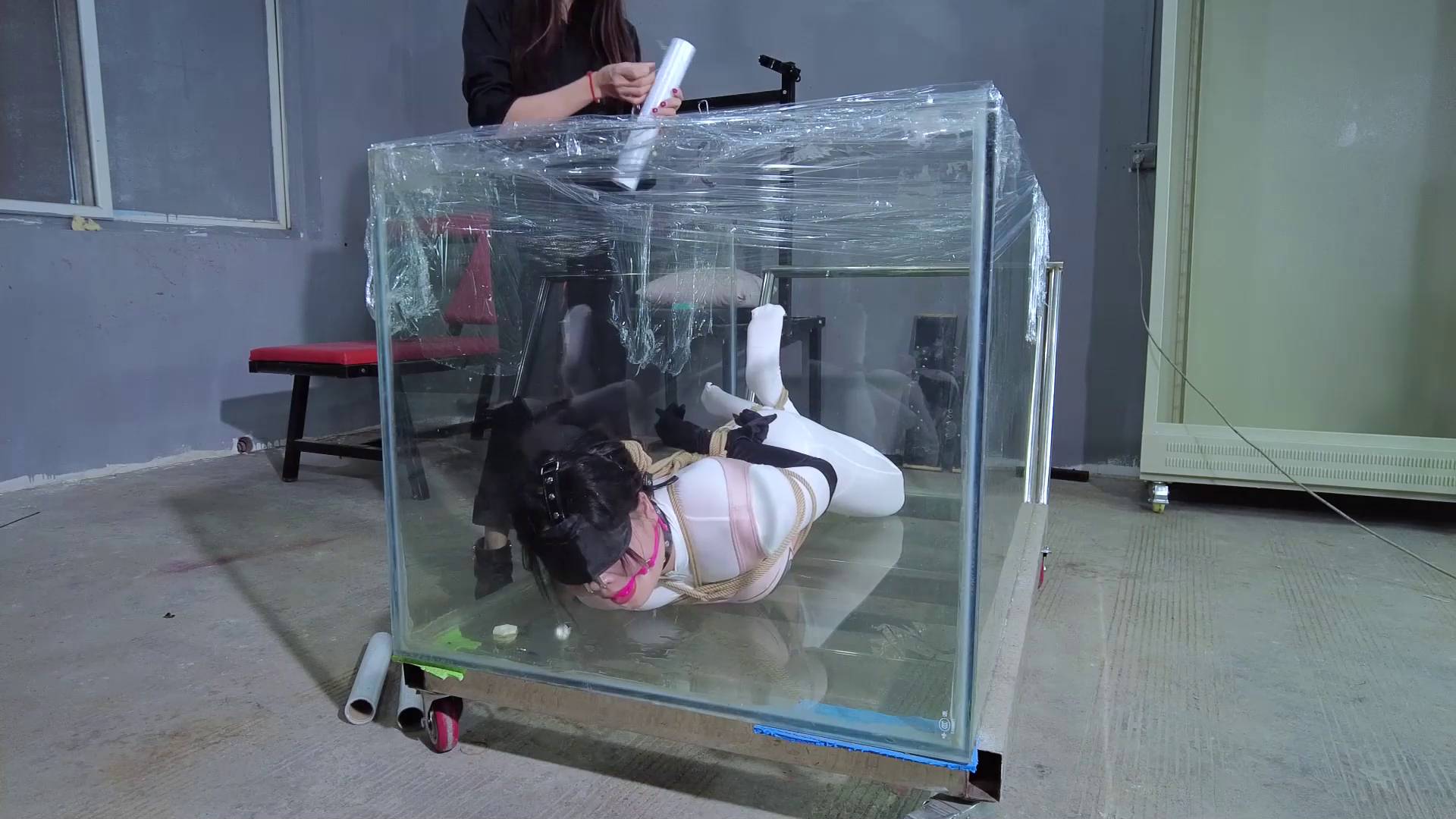 510601e8cf2a4cf9ae31f455ad4b0202