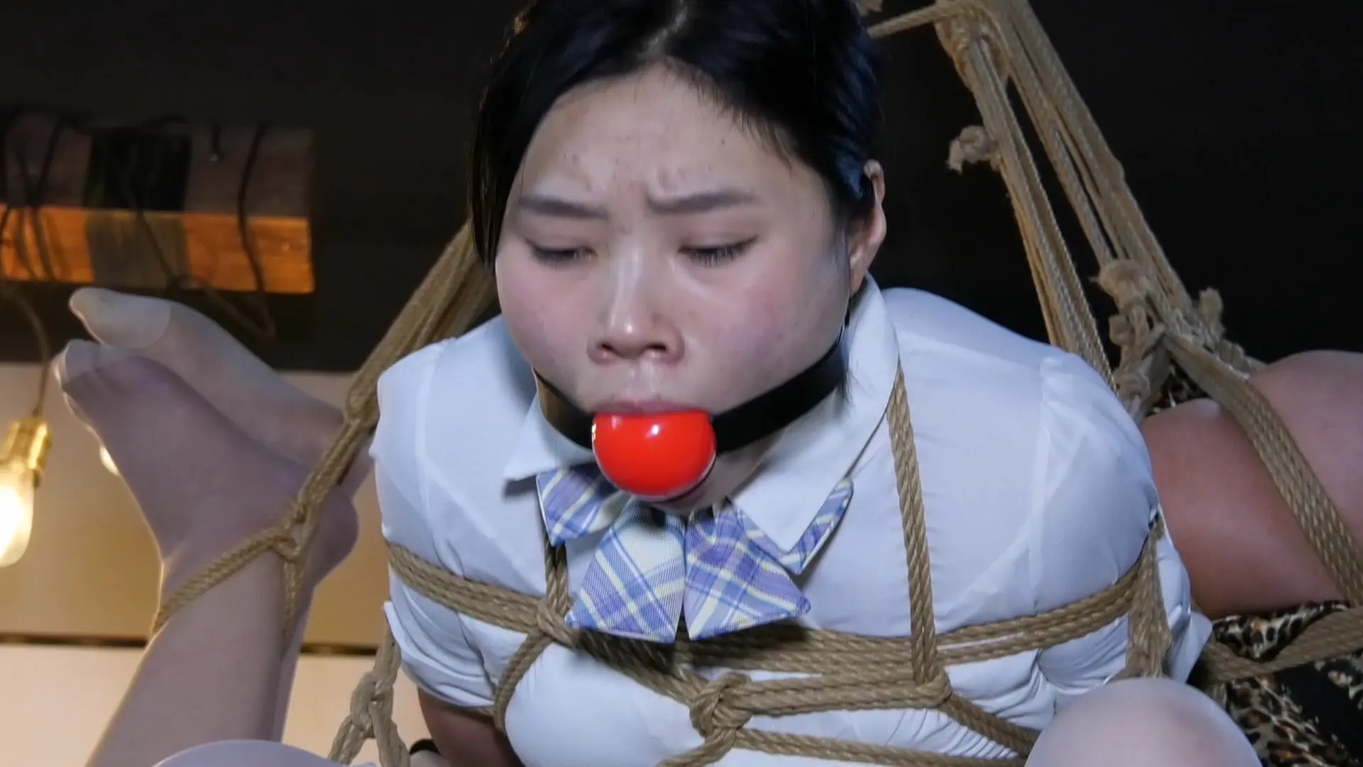 5309a7d1767b876986870ad303a23047