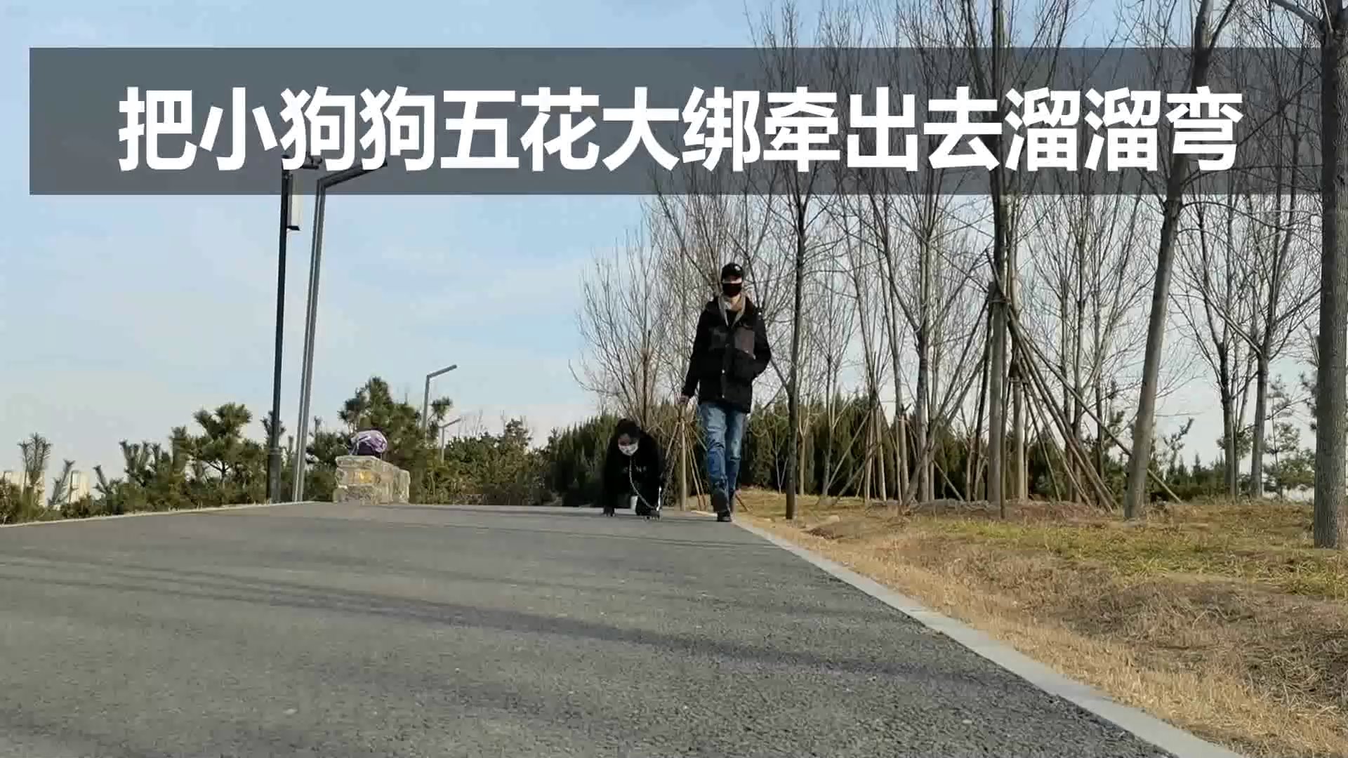 把小狗狗五花大绑牵出去溜溜弯