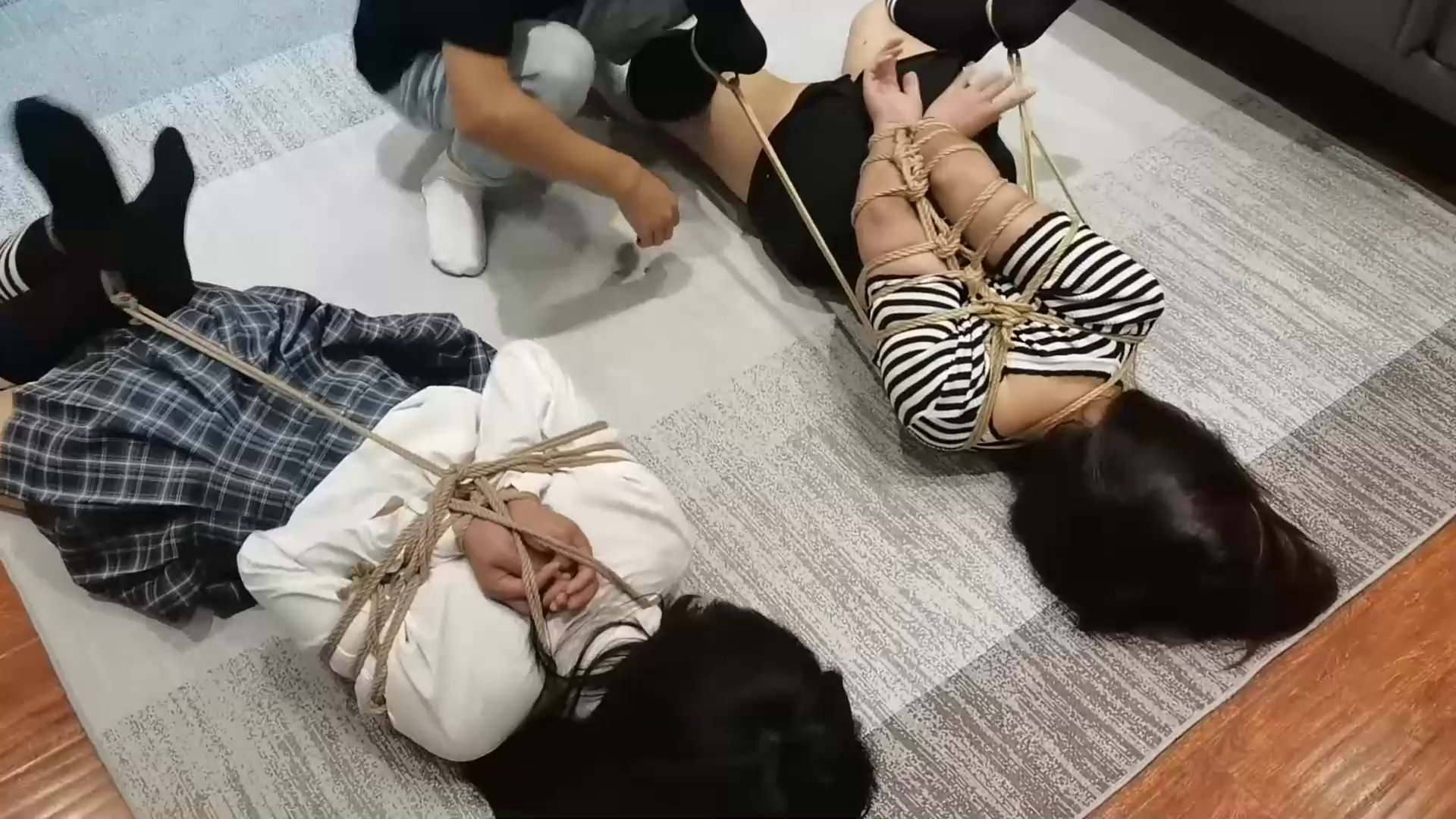 537d1d54db5ed3e457cb0d88808659dc