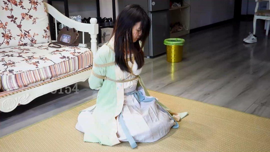 新模试镜 汉服驷马-1