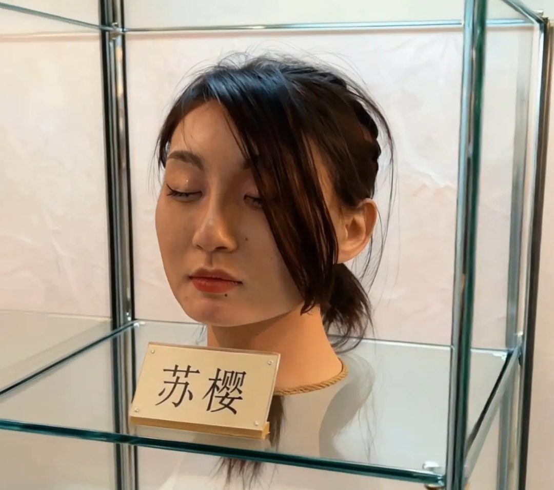 随心定拍 苏樱的无限处刑-1