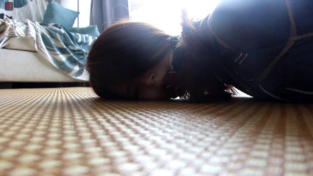 56bcf1184d6f7525211ba8ac1dd81382