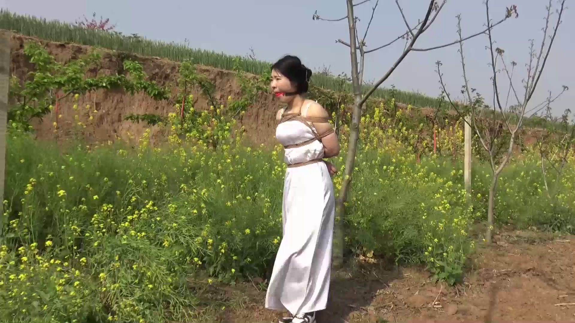 56d4b892a0f935fd489441837a6e1970