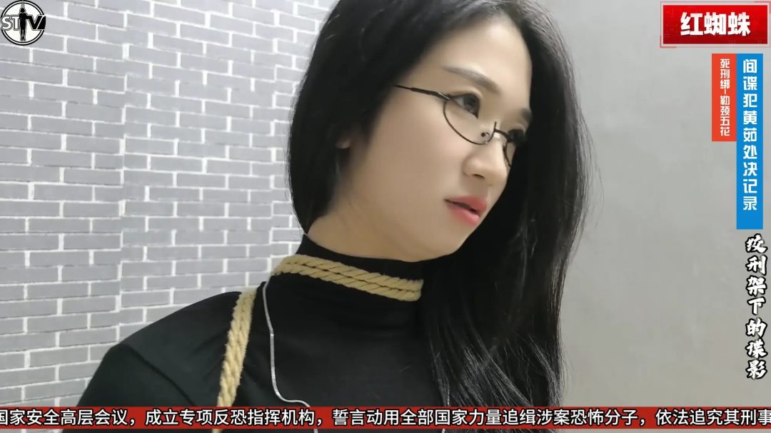 【玄武orz 】【2026开年剧情大作】斯特兰奇法制电视台《红蜘蛛》第一集——绞刑架下的谍影-8