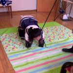 人形犬调教实录，牵引胯下爬行，椅下玩舌sptk踩踏