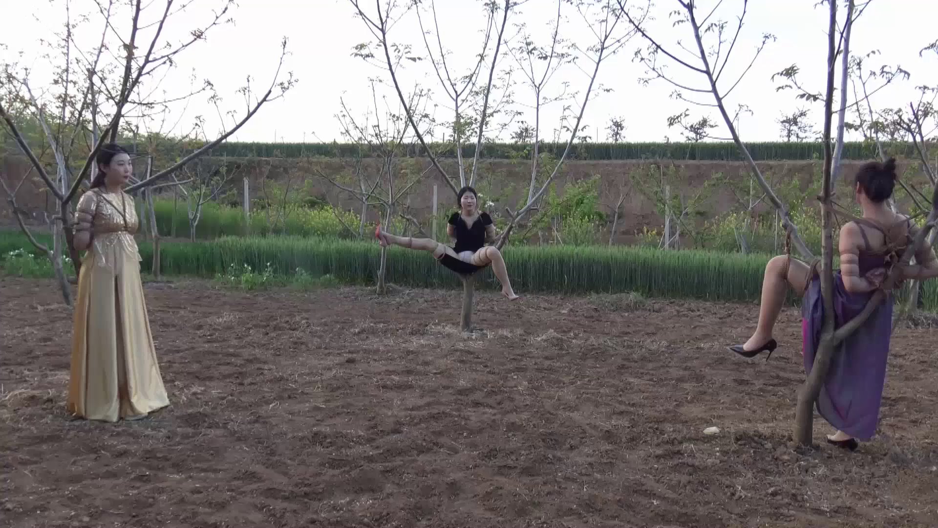 629f3f33dc59f4ba0e5f30bcce086c6b