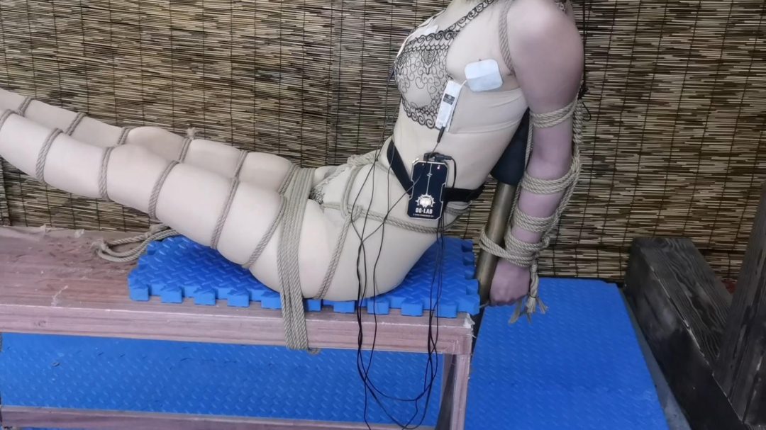 把柔仙儿禁锢在老虎登上,股绳 垫上5块砖 疼的斯心裂肺 绳子勒嘴 tk 耳光报数 郊狼电击 sp-7