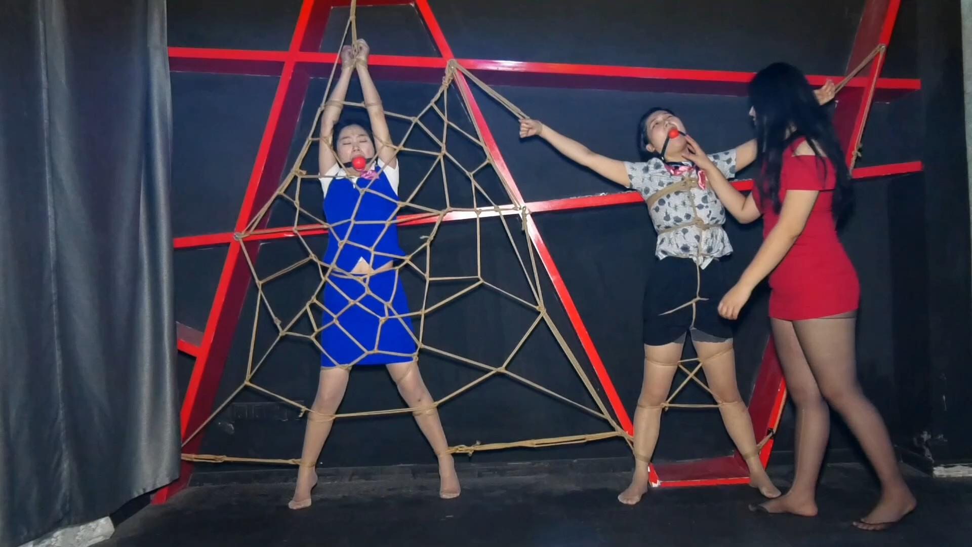 66fd3850f6460149df9719684f58564d