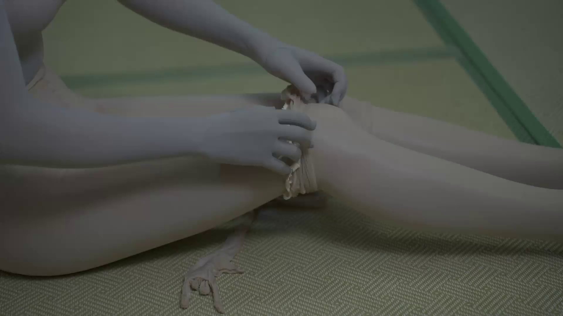 68180b7b73df75ff4e06eb819c4e69a5