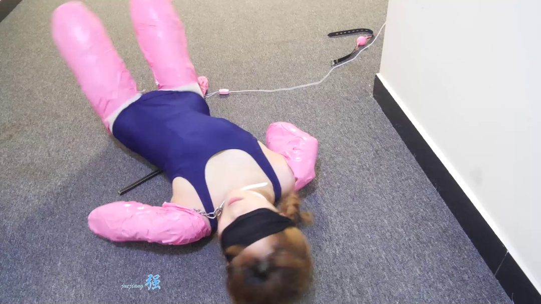 定拍伊伊的胶带人形犬-5