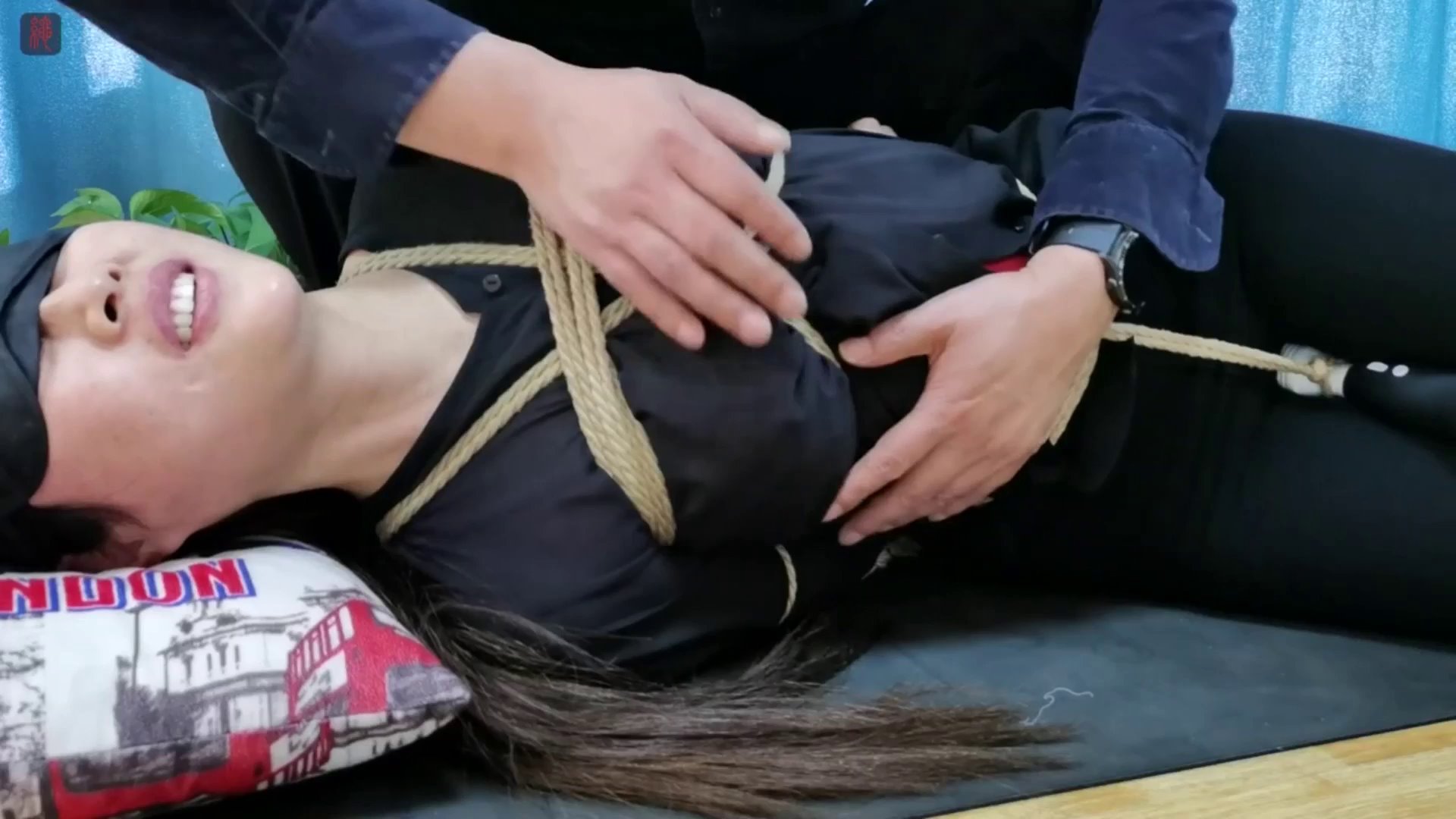 6e89c37e9284a1a243895318440587d0