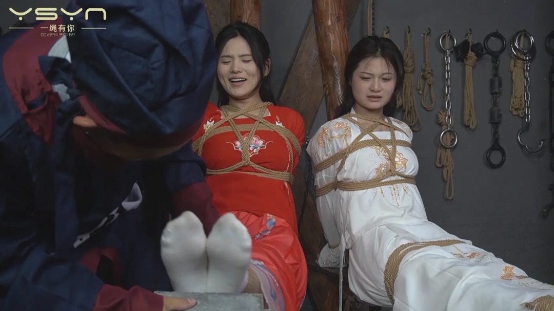 【毒案下的妻妾劫】王员外的大老婆被毒死二老婆（柳依）三老婆（柳亦菲）被押赴大堂受审大刑屈打成招签字画押-2