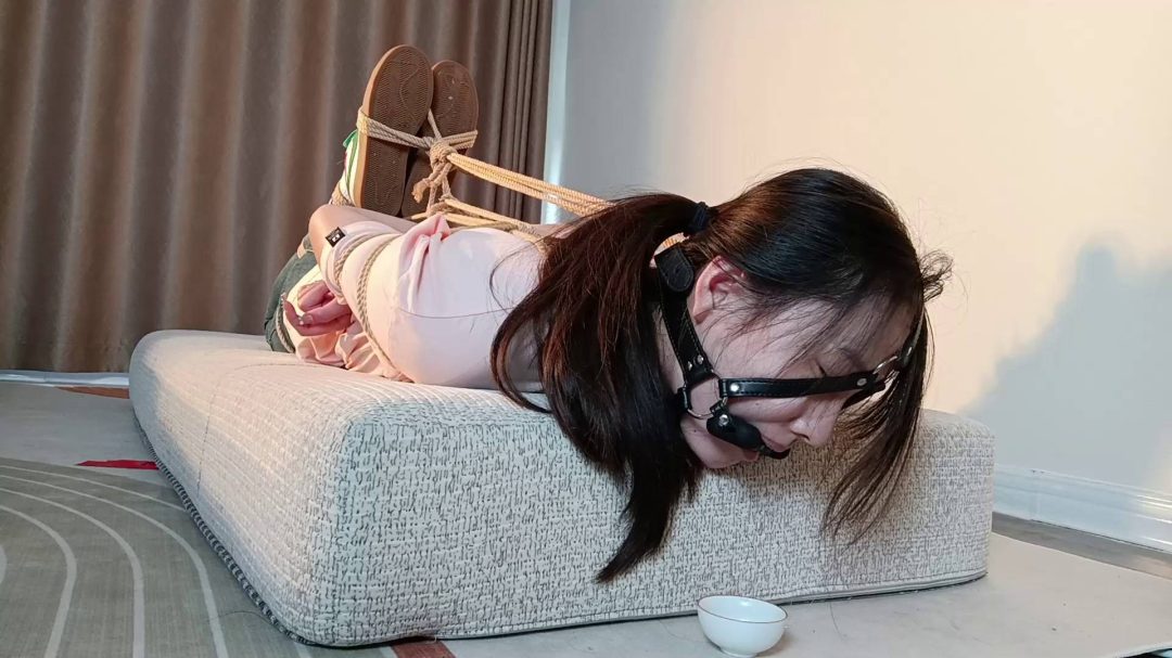 眼镜学姐文静裤捆绑游戏第三季-6