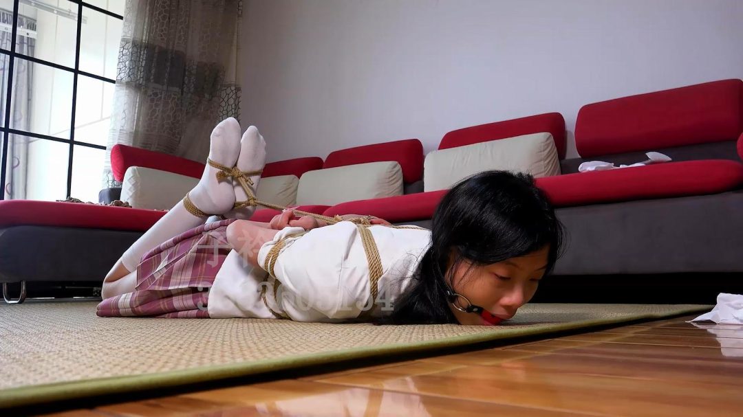 佳佳 JK驷马口球-2