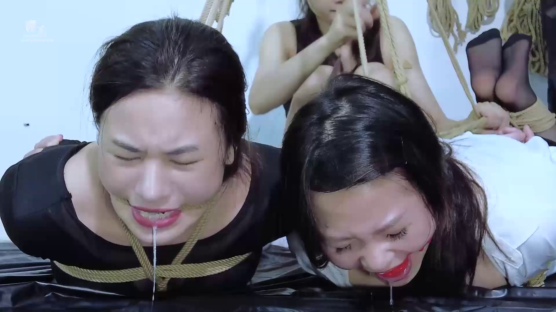 72beed8f604d654d2c4018909a554610