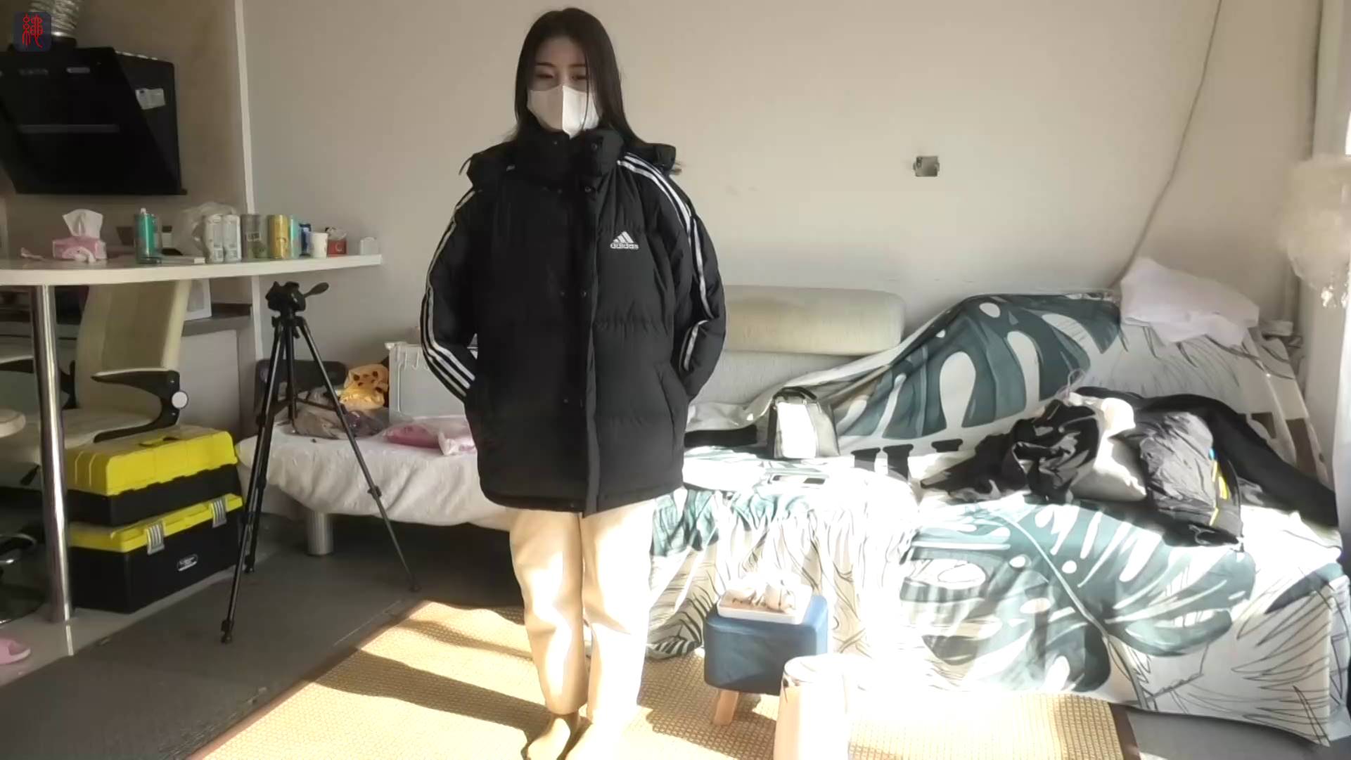 733ed7a04e606bed58bd5ff13365a378