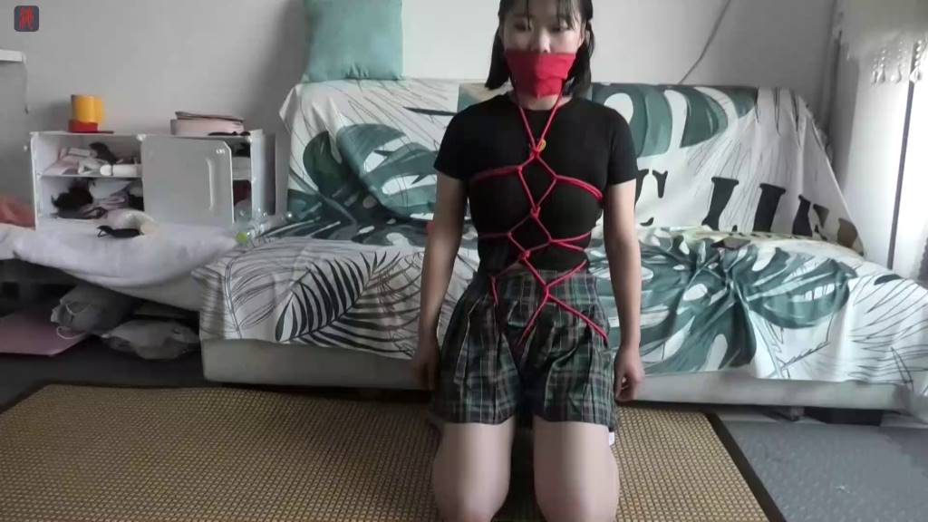 736a0dd27ab0cdbeb15948622d2ca9a7