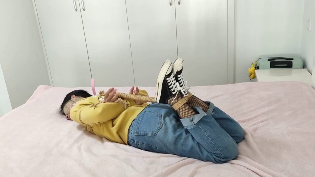 渔网袜惹的祸-1