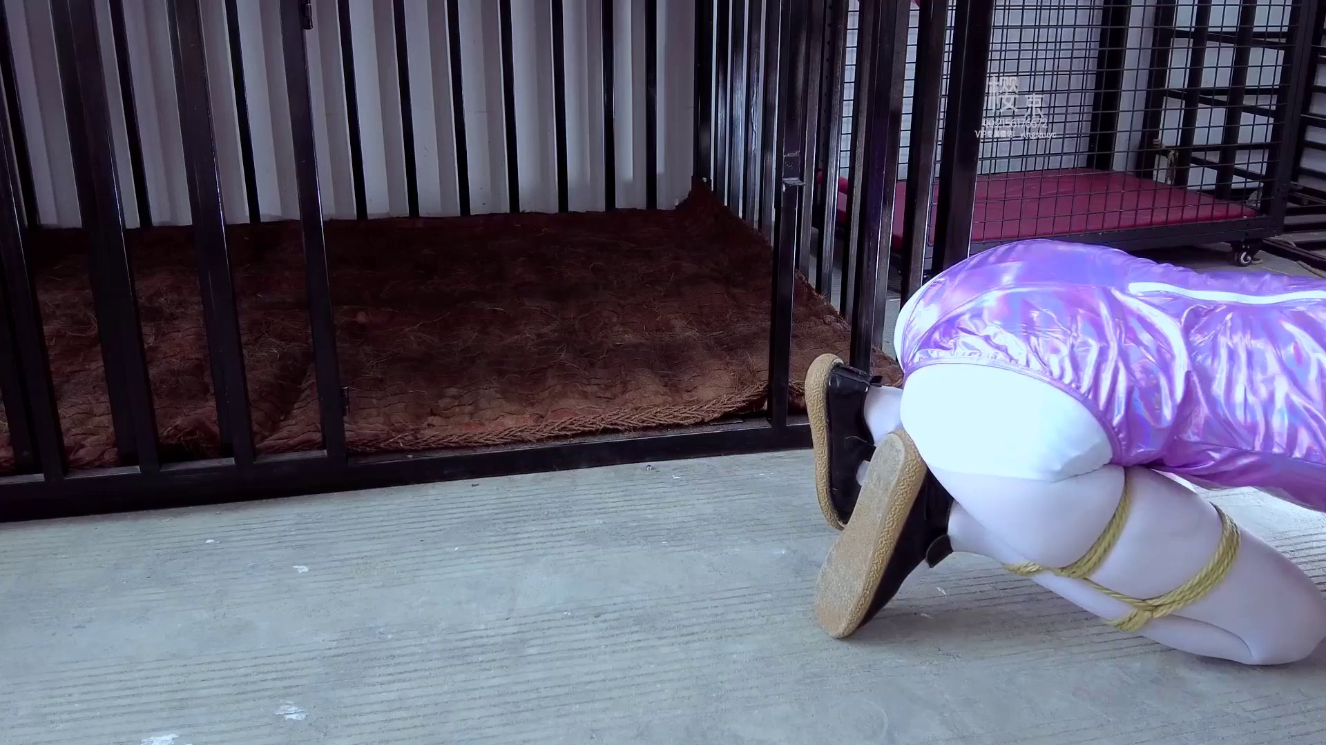 74d8e192fc381de1c71805f9d5487469