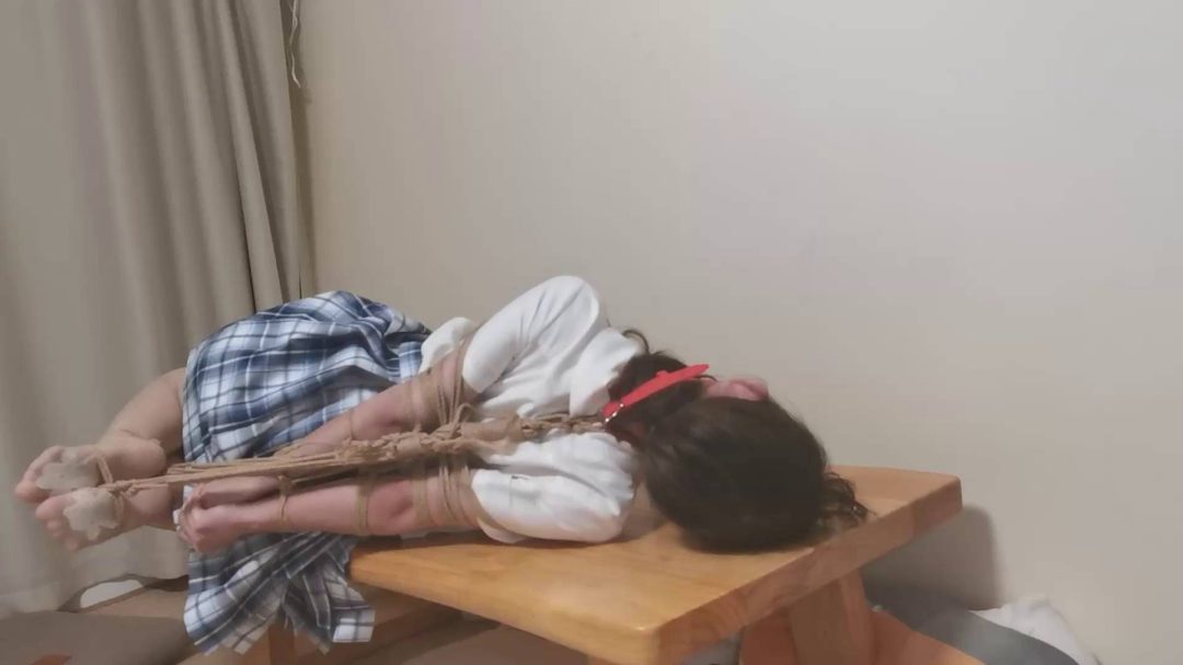 JK珊珊欧式驷马放置挣扎-6