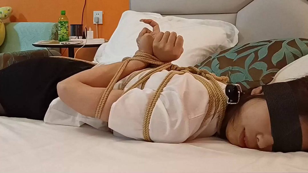 娇俏晴子OL的酒店之约第四季，特殊的培训，蛇夫、驷马-5