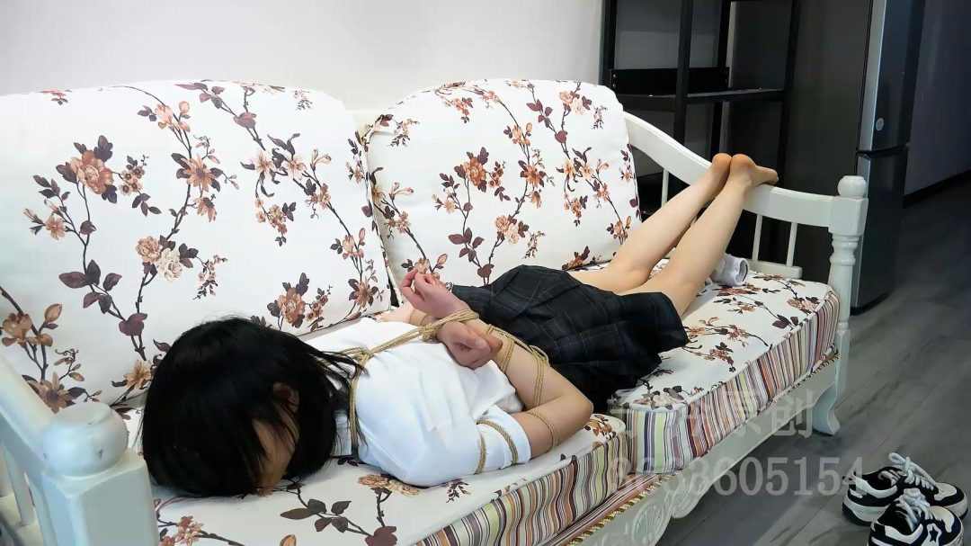 新模试镜 佳佳 五花 口球 驷马-2