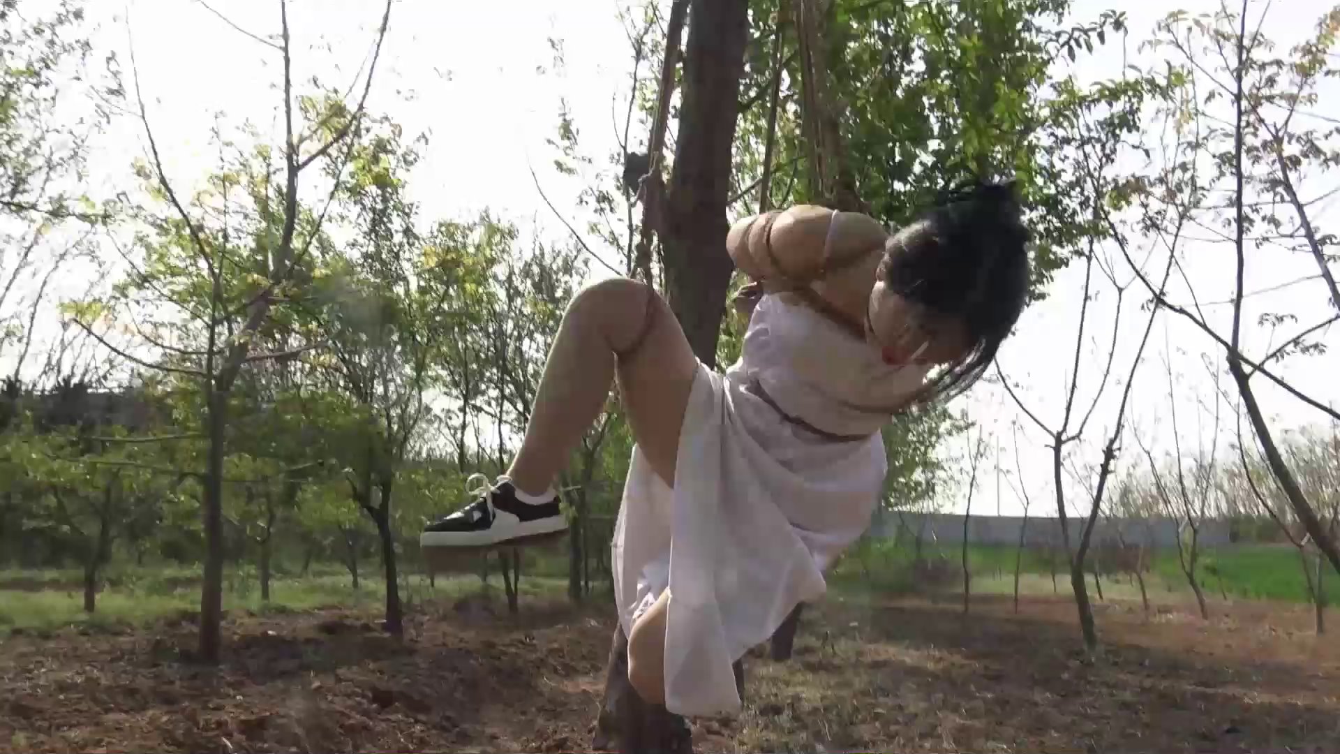 81e45e6e6399eff5430caf660987721d