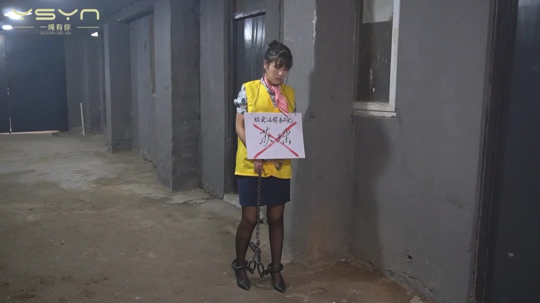 【堕落的云端梦】曾经怀揣蓝天梦想的空姐苏瑶一步之差陷入毒念深渊入牢判死刑枪决-11