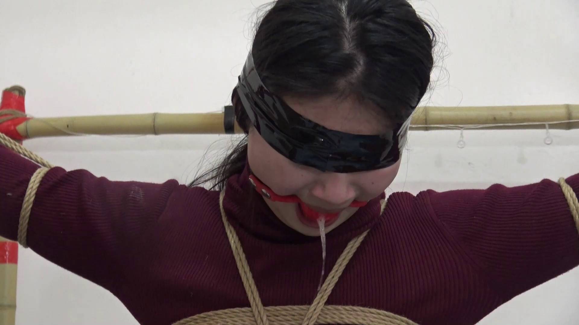 87c9954a4931bcf1490dea95a4c61e28