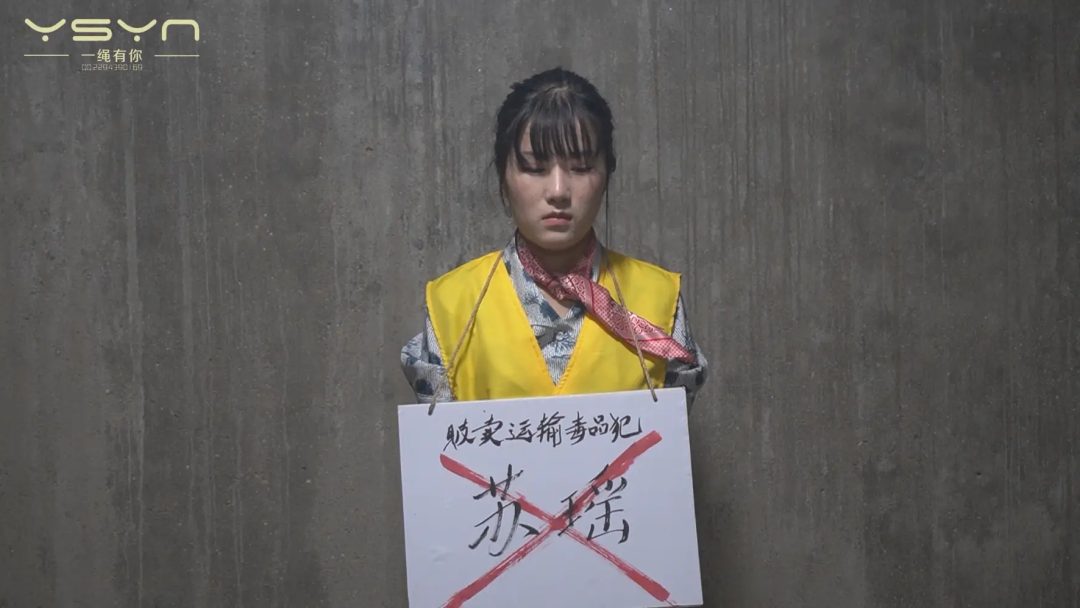 【堕落的云端梦】曾经怀揣蓝天梦想的空姐苏瑶一步之差陷入毒念深渊入牢判死刑枪决-10