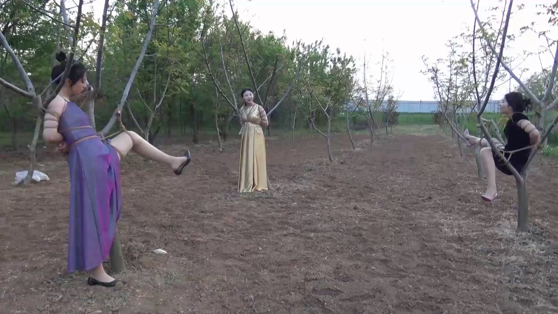 8945d1ce9ced6043fd9ffaba0d6dfea1