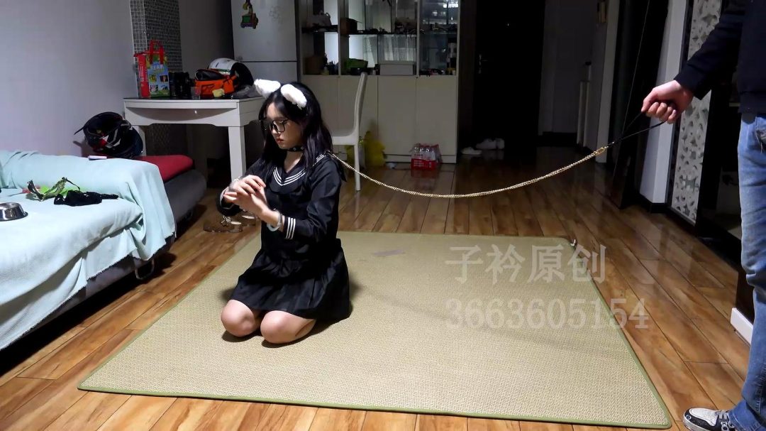 定拍叶子 镣铐 K9训练-2