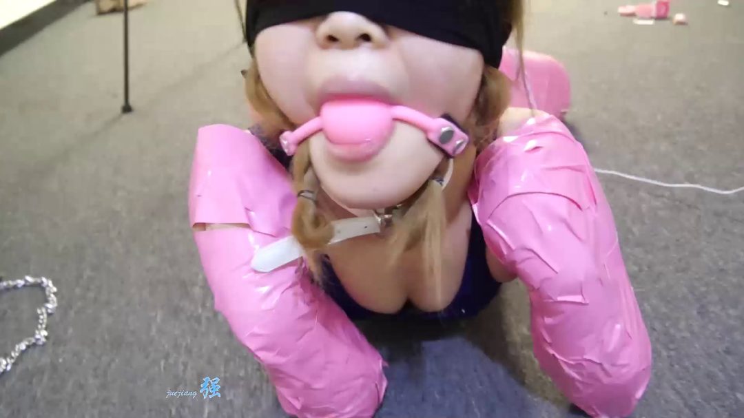 定拍伊伊的胶带人形犬-2