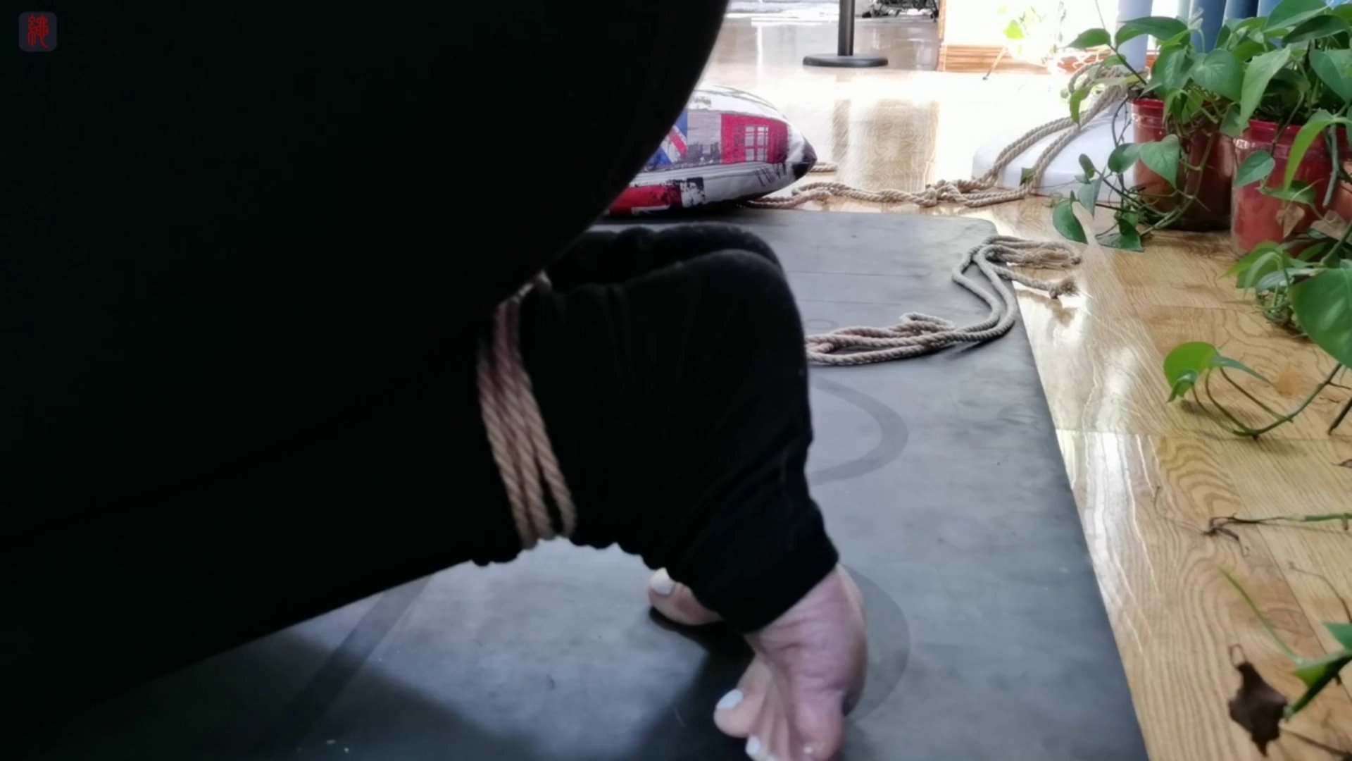 8deefcd55c508bc366a6e95df27ab7eb